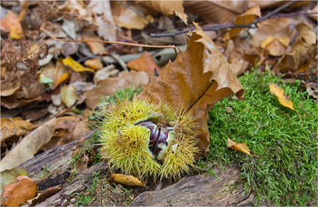 平台担保无忧的DDOS在线压力测试